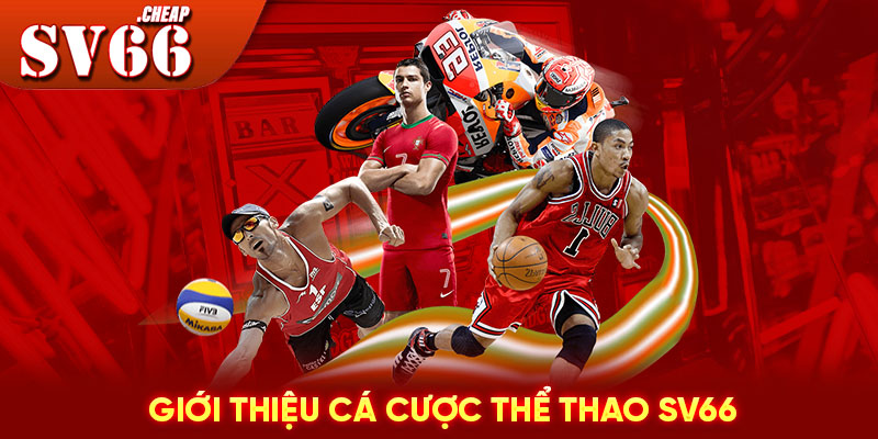 Giới thiệu cá cược thể thao SV66