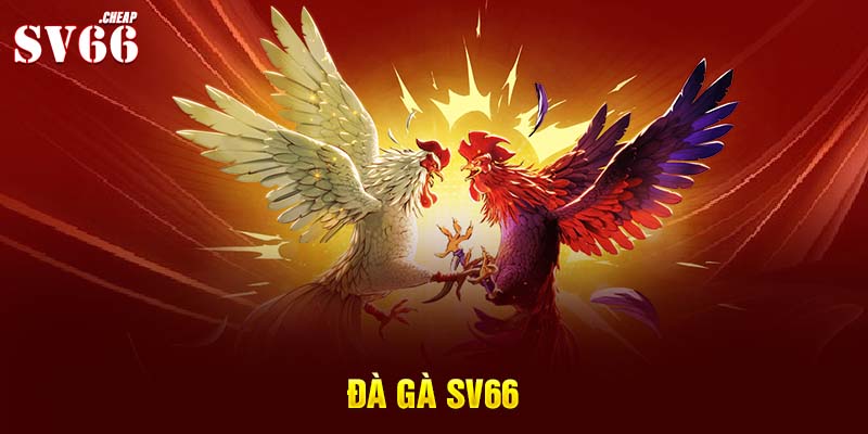 Đá gà Sv66