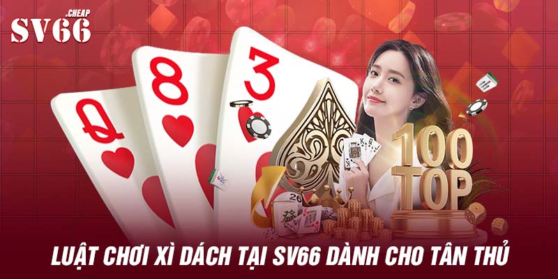 Luật chơi xì dách tại SV66 dành cho tân thủ