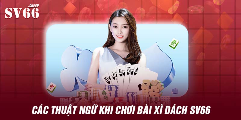 Các thuật ngữ khi chơi bài xì dách SV66