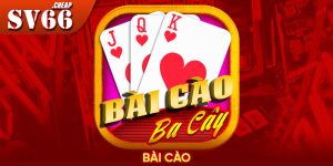 Bài cào